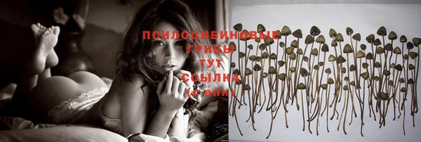 кристаллы Ступино