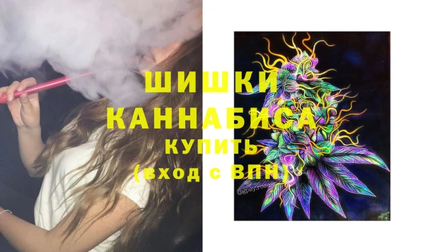 СК Струнино