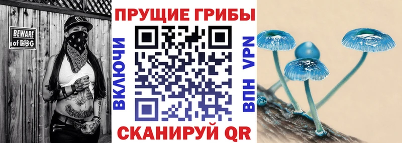 купить закладку  Володарск  Псилоцибиновые грибы MAGIC MUSHROOMS 