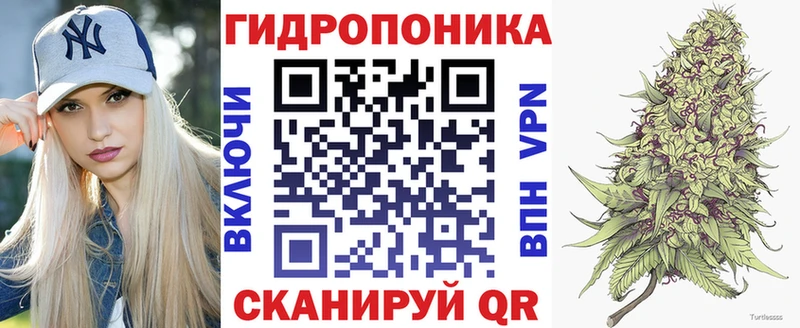 Шишки марихуана White Widow  Володарск 